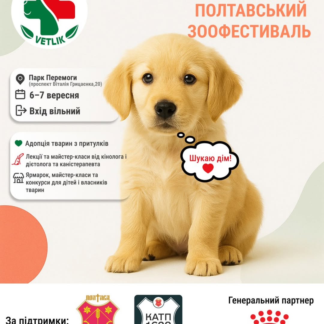 Афіша першого фестивалю з програмою
